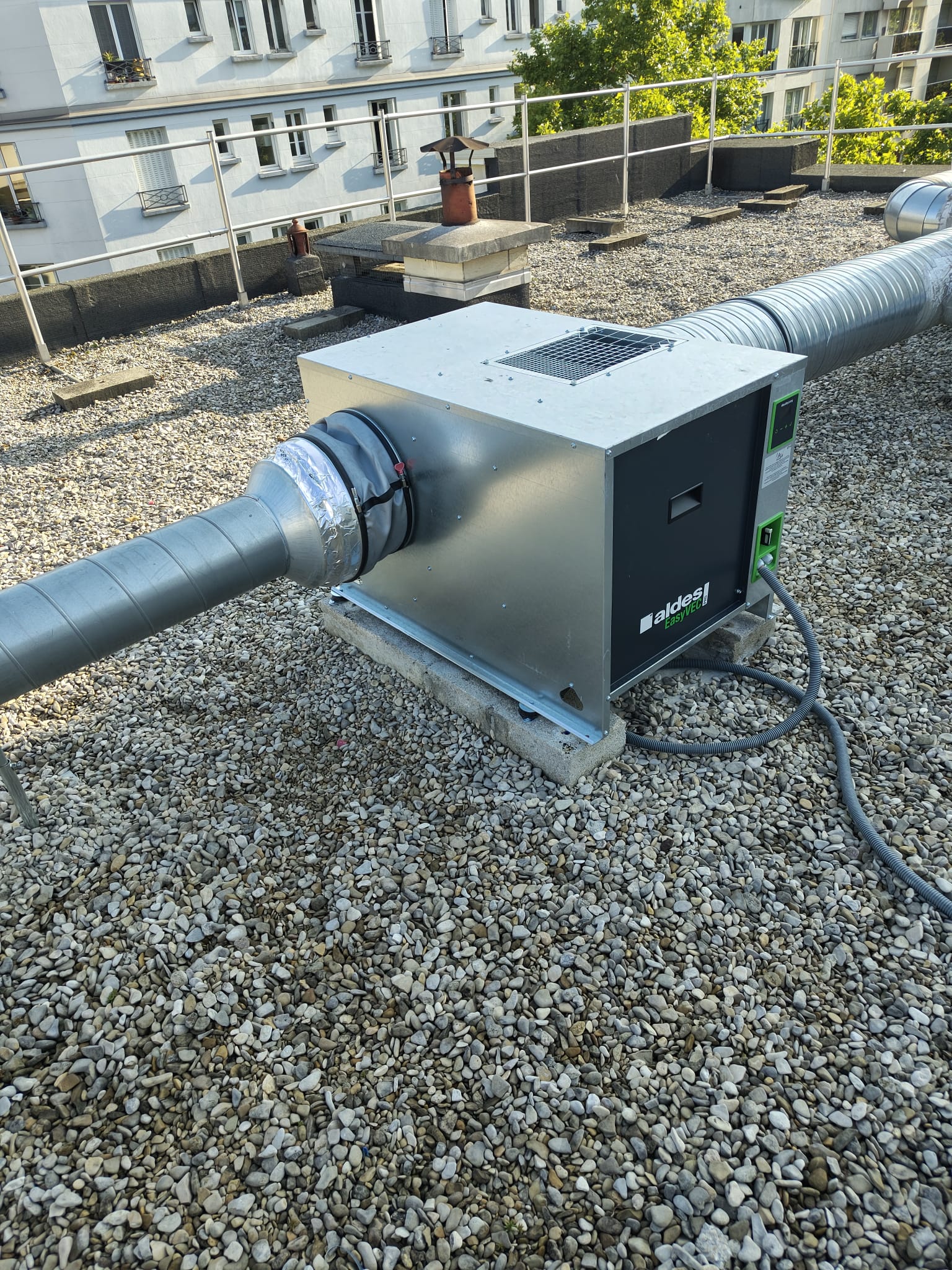 WhatsApp Image 2025-12-20 at 12.29.31çç